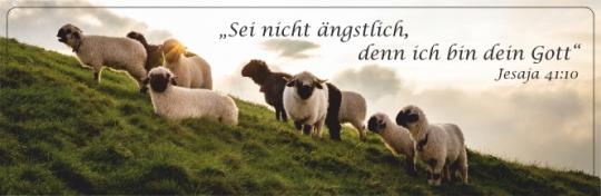 Tasse mit Bibel-Text 2019 - Bildmotiv: Schafe